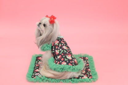 K-002 【Otty×CanNanaコラボ】HELLO KITTY・いちご柄カフェマット