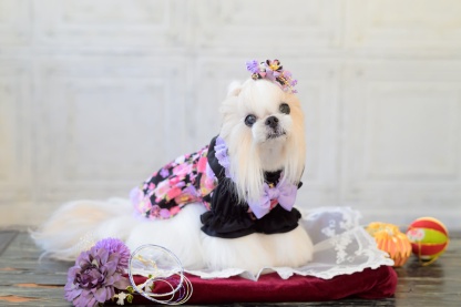 和ロリつまみ細工バレッタリボン