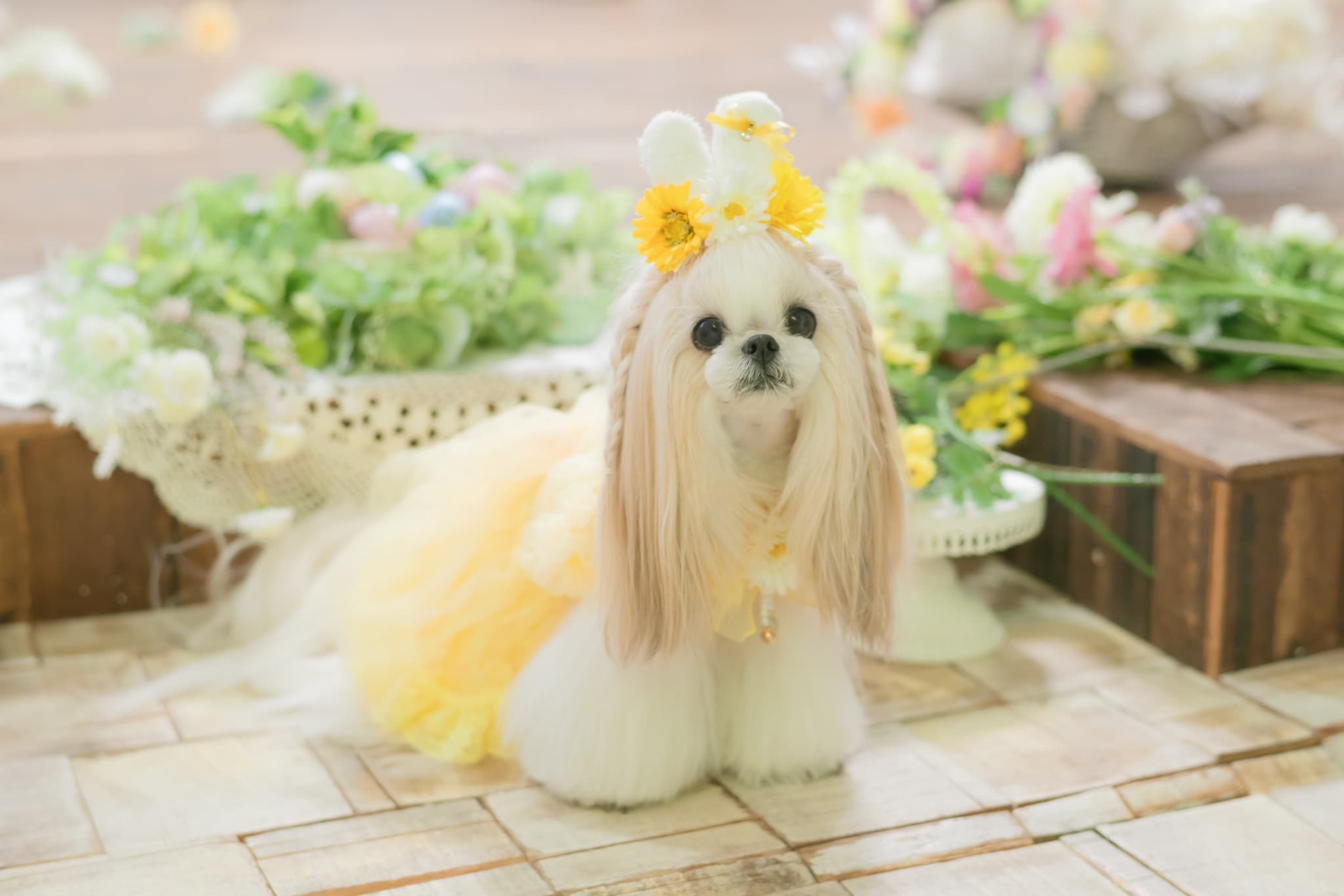 うさ耳バレッタリボンＭ