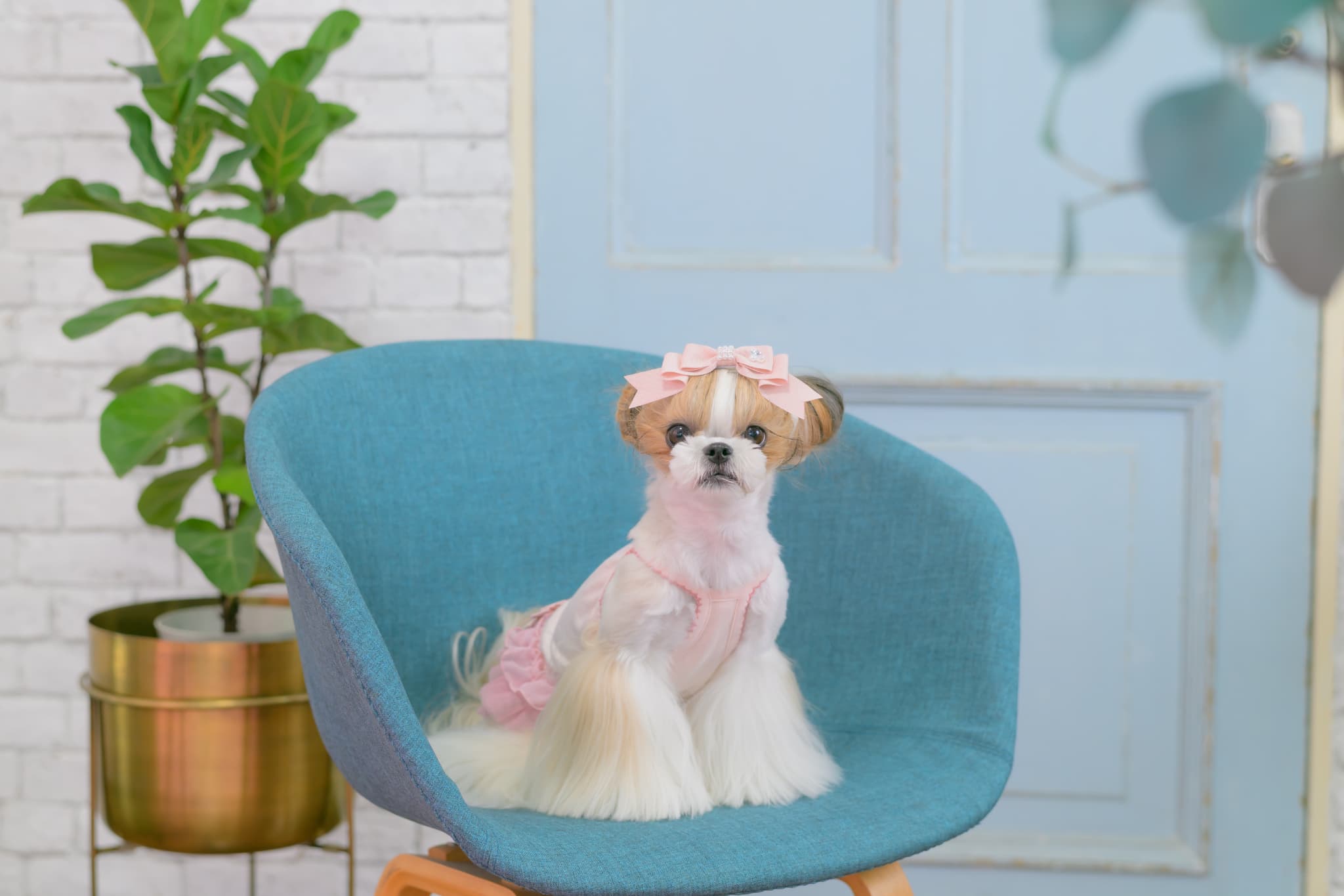 1175 適温キープアウトラストフリルキャミ　