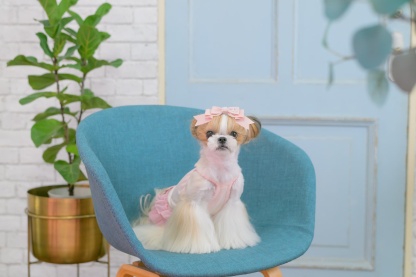 1175 適温キープアウトラストフリルキャミ　