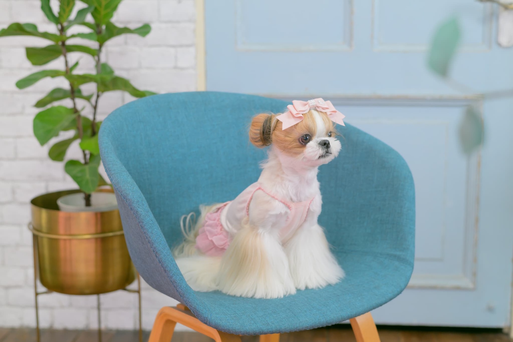 1175 適温キープアウトラストフリルキャミ　