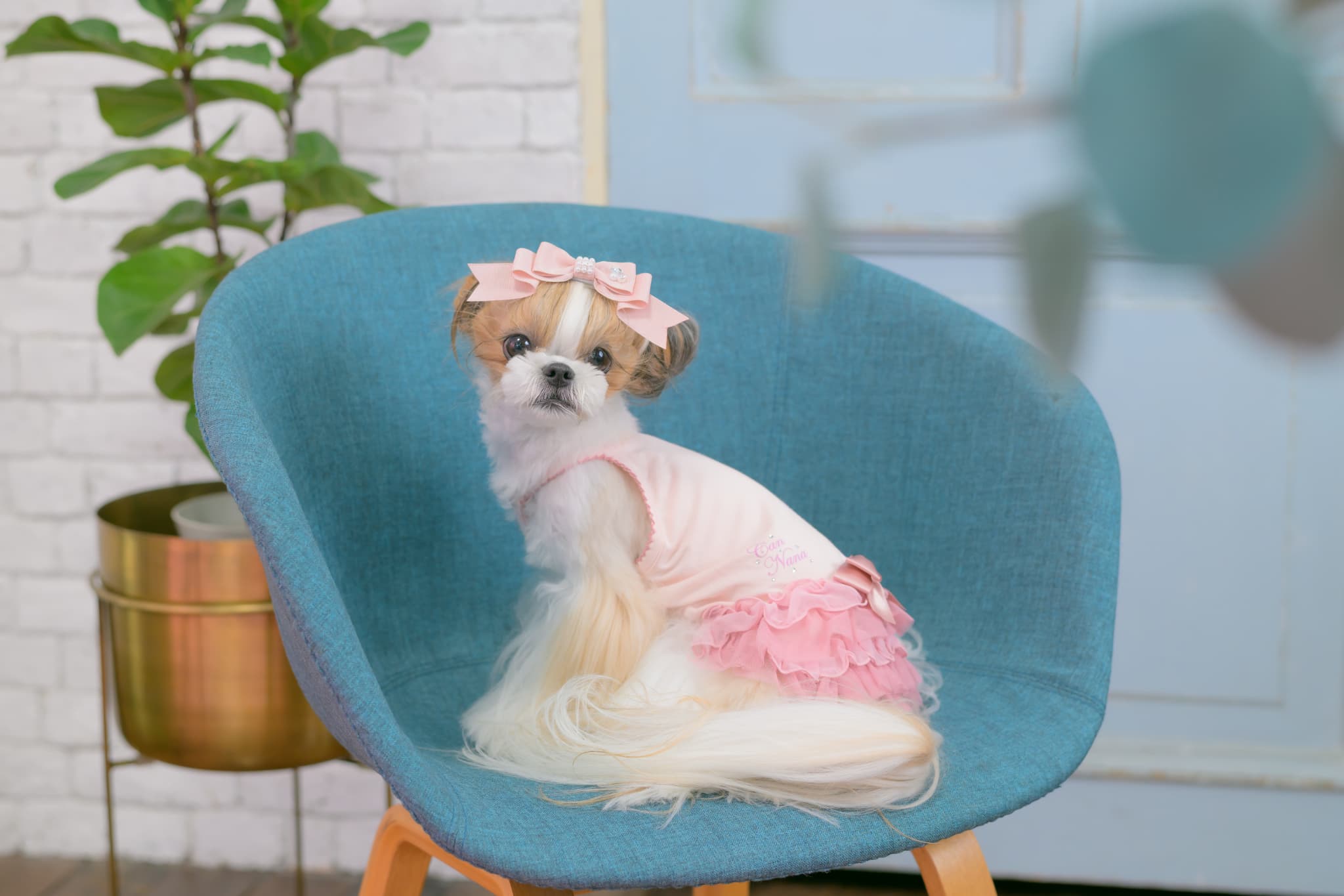 1175 適温キープアウトラストフリルキャミ　