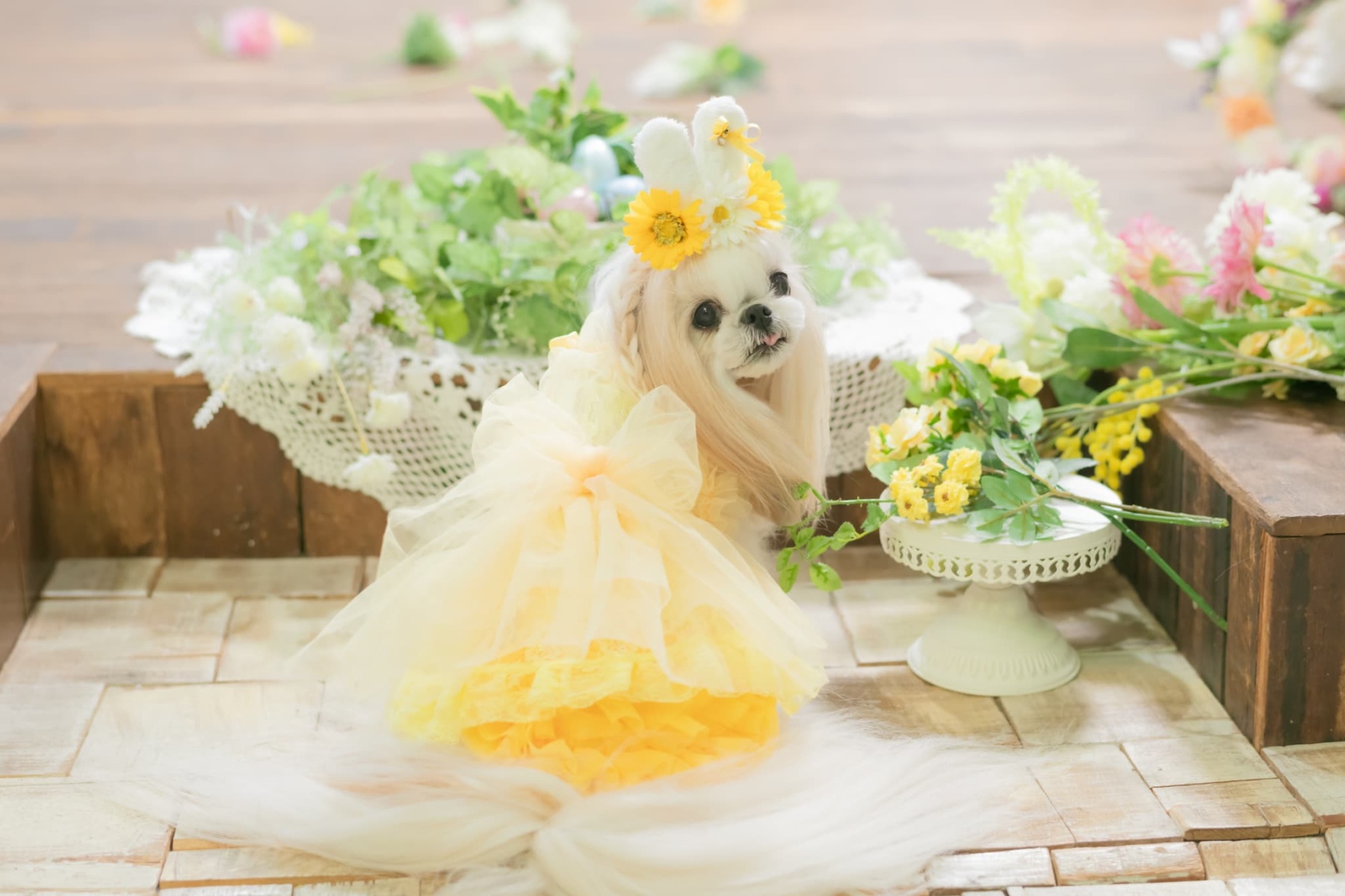 チュールフリルスカート（イエロー・ピンク）