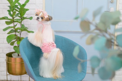 1175 適温キープアウトラストフリルキャミ　