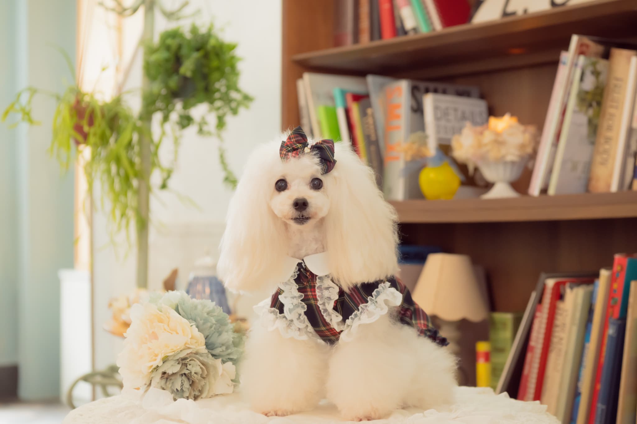 クラシカルタータンミニバレッタ