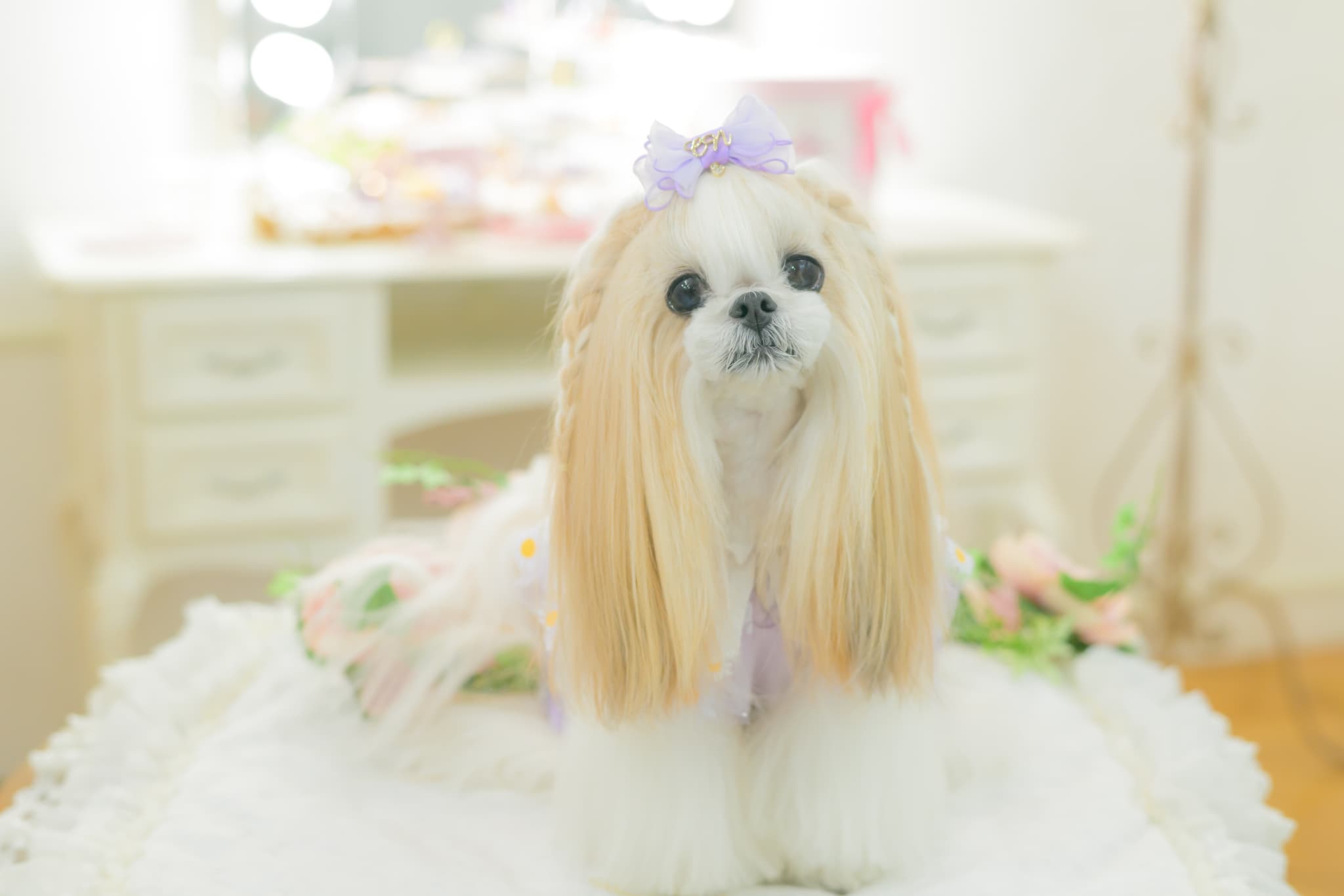 角度一定スタンド式JDバレッタ