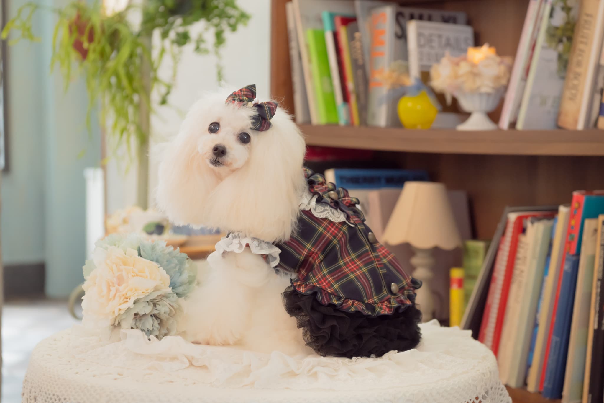 クラシカルフリルブラウス