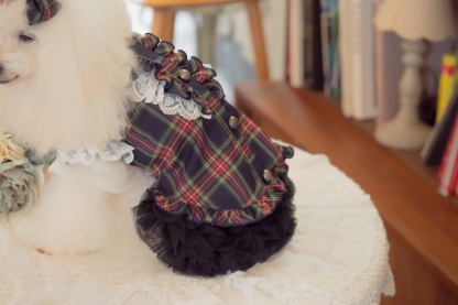 クラシカルフリルブラウス