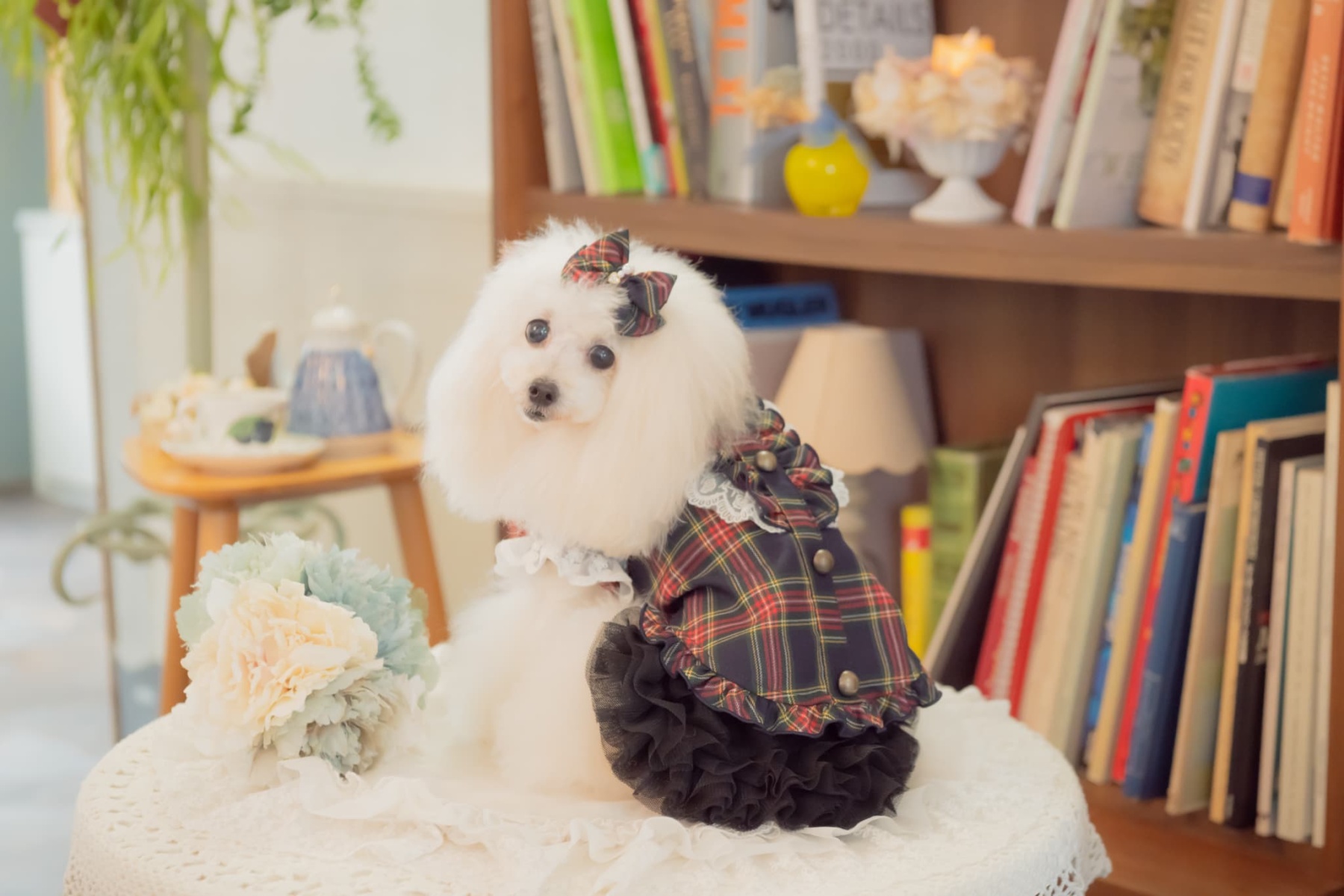 クラシカルフリルブラウス