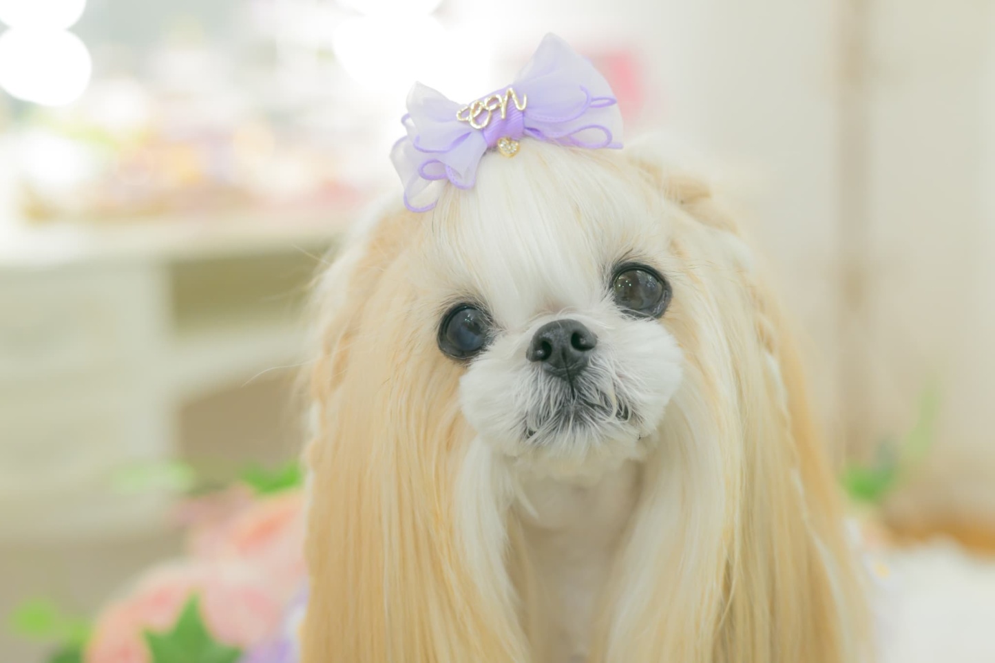 角度一定スタンド式JDバレッタ