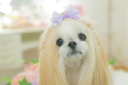 角度一定スタンド式JDバレッタ