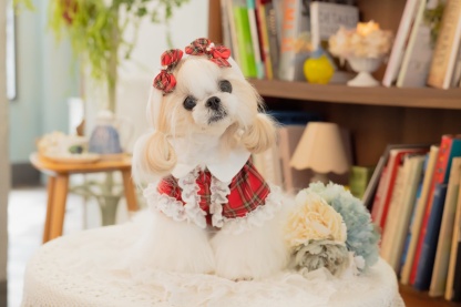 クラシカルフリルブラウス