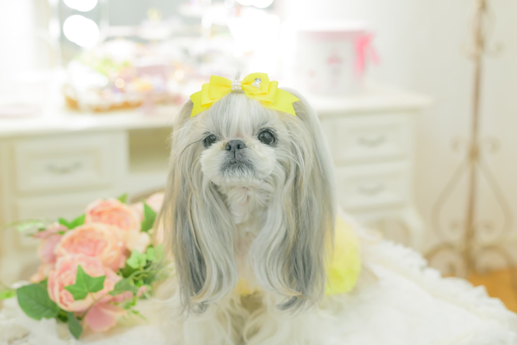 【角度一定スタンド式】きゃんナナ姫リボンバレッタ