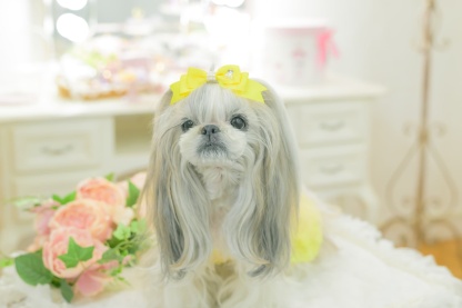 【角度一定スタンド式】きゃんナナ姫リボンバレッタ