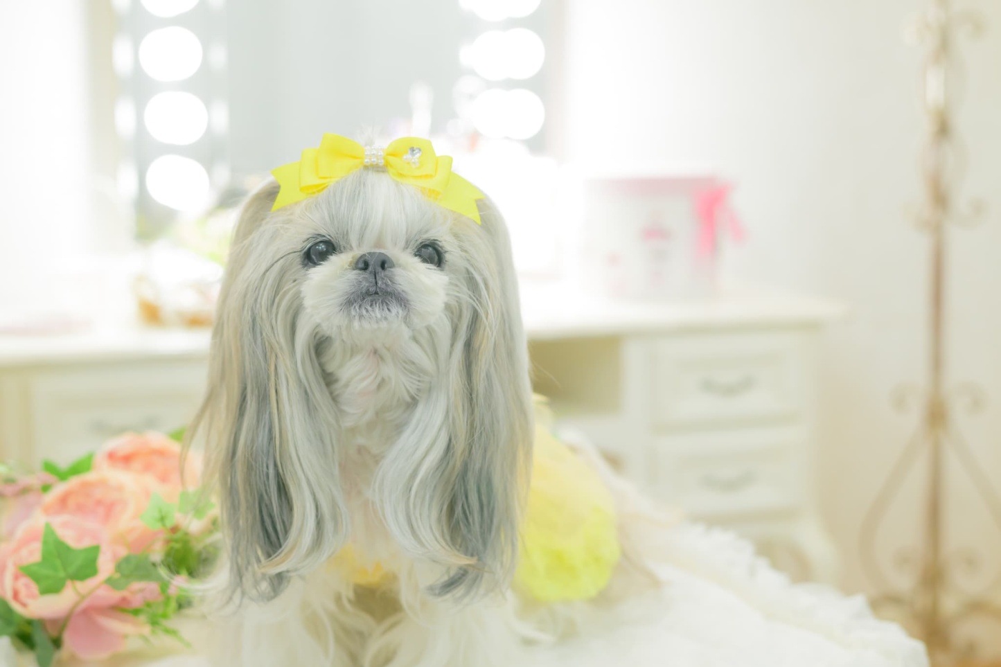 【角度一定スタンド式】きゃんナナ姫リボンバレッタ