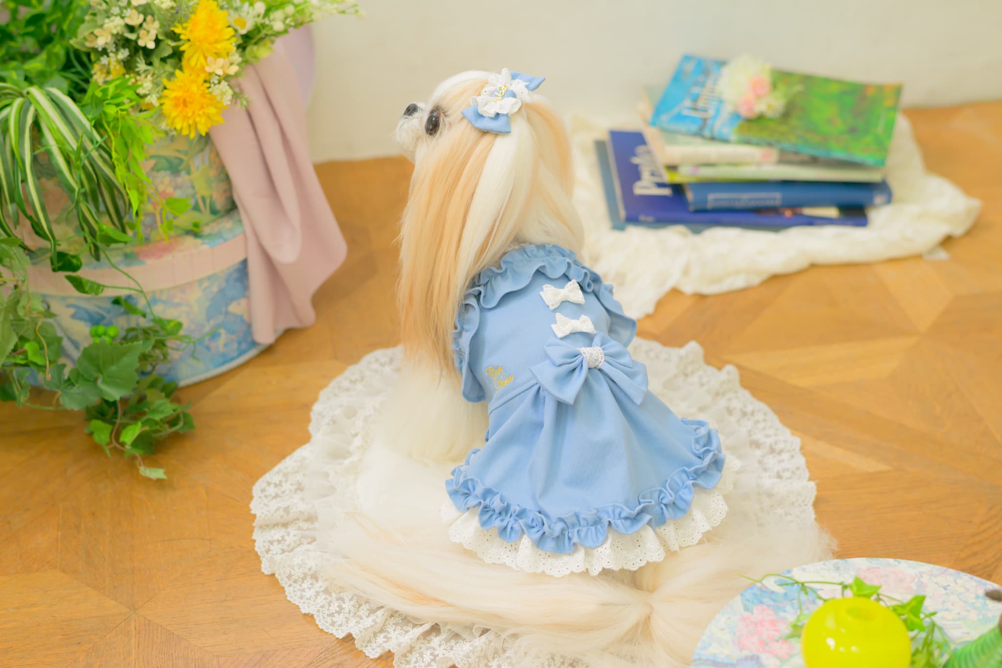 新作　きゃんナナ　ストレッチデニムワンピース CanNana 犬服 春 夏 ワンピース キャンナナ ストレッチデニム