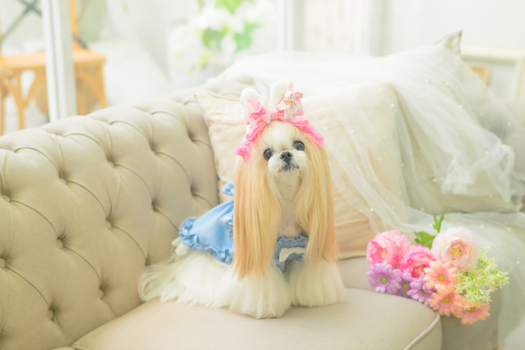 LB-327 うさぎデコカチューシャバレッタリボン