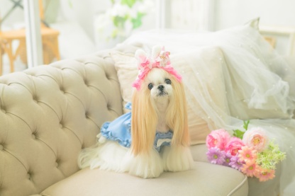 LB-327 うさぎデコカチューシャバレッタリボン