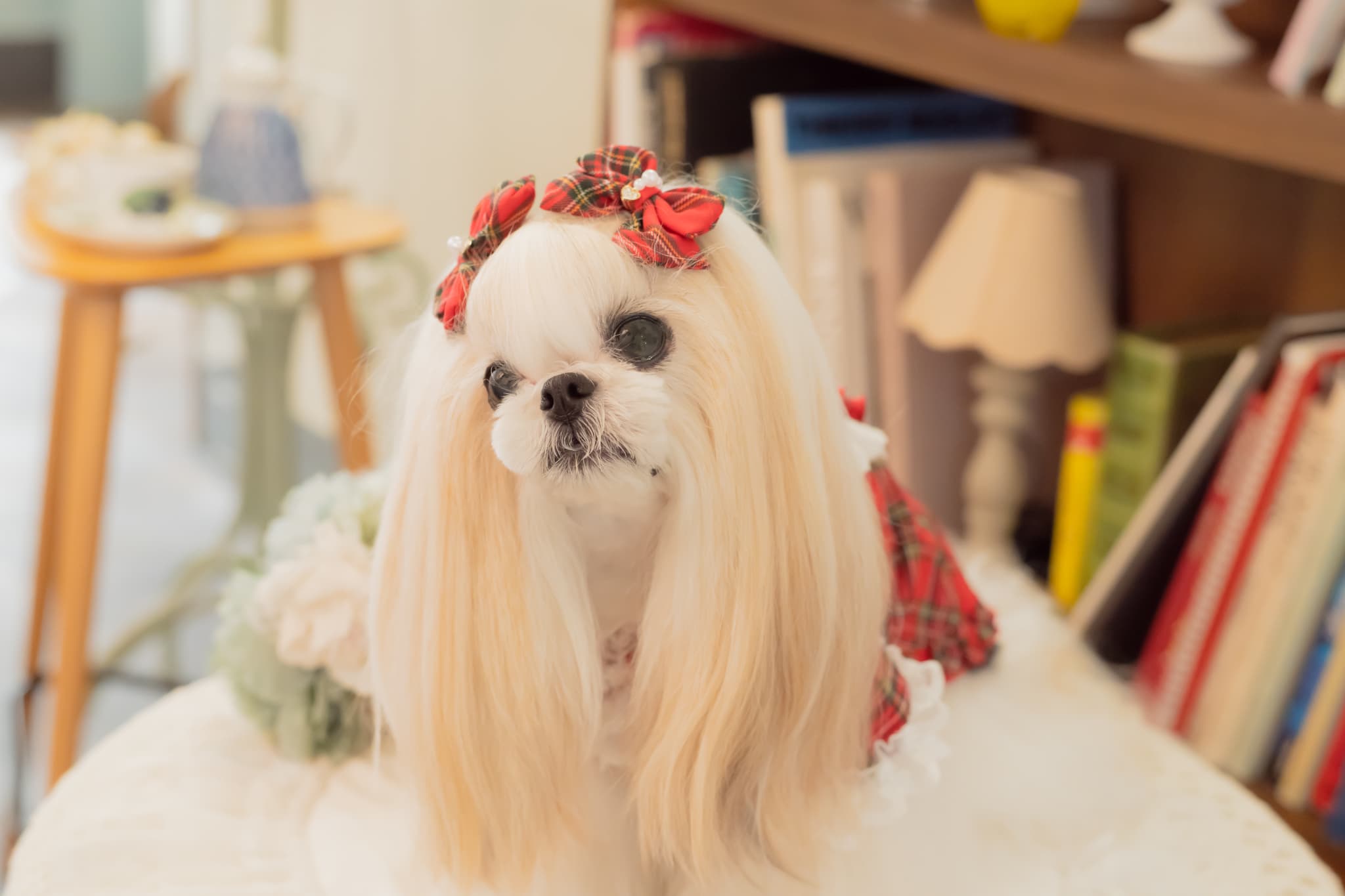 クラシカルタータンミニバレッタ