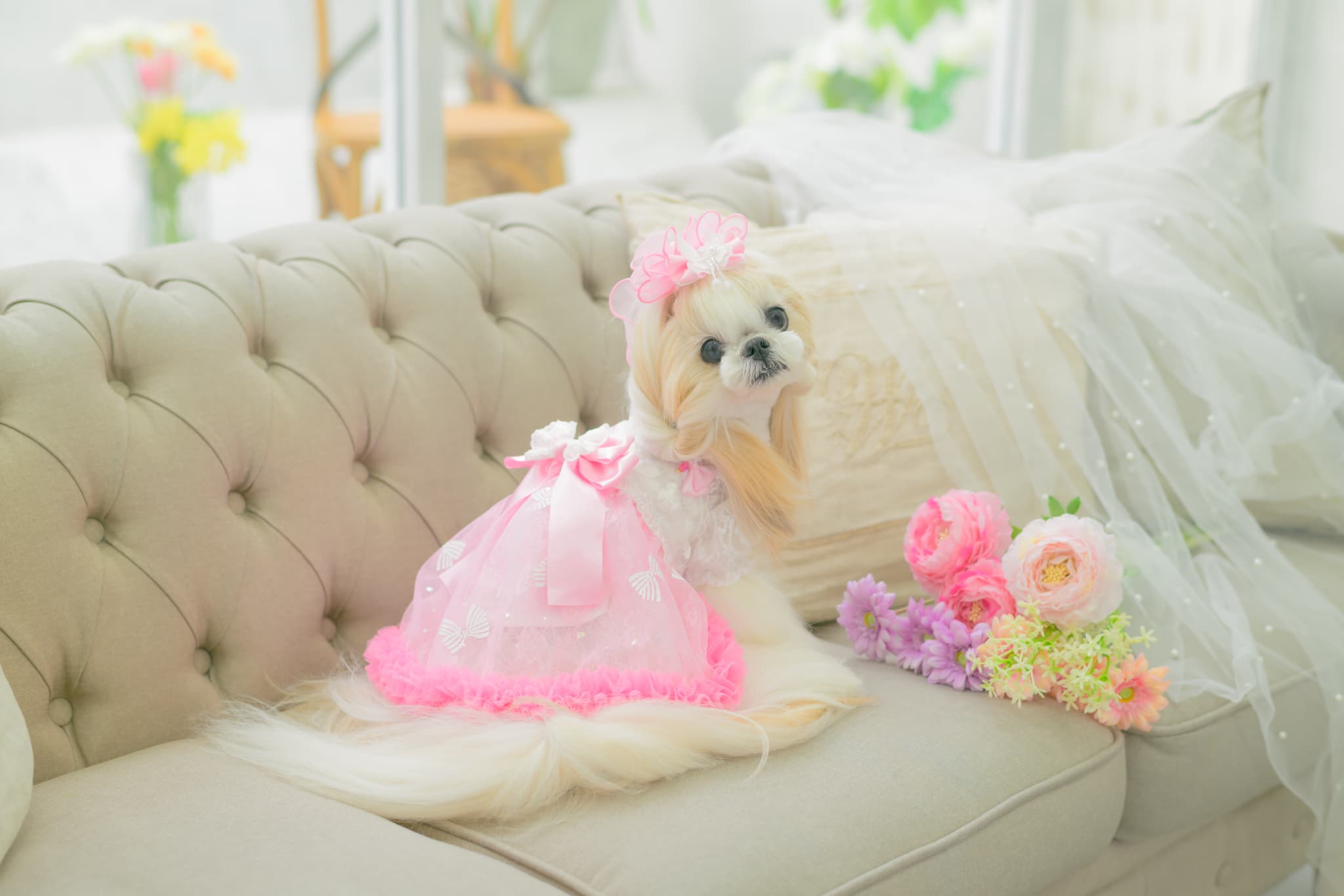 LB-329 きらきらバタフライバレッタリボン