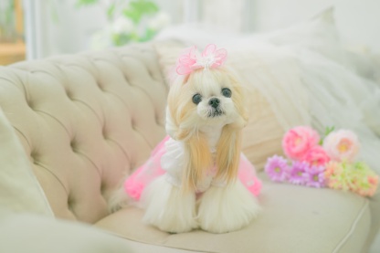 LB-329 きらきらバタフライバレッタリボン