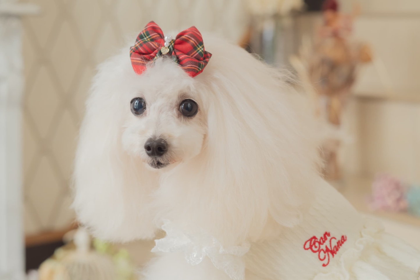 クラシカルタータンミニバレッタ