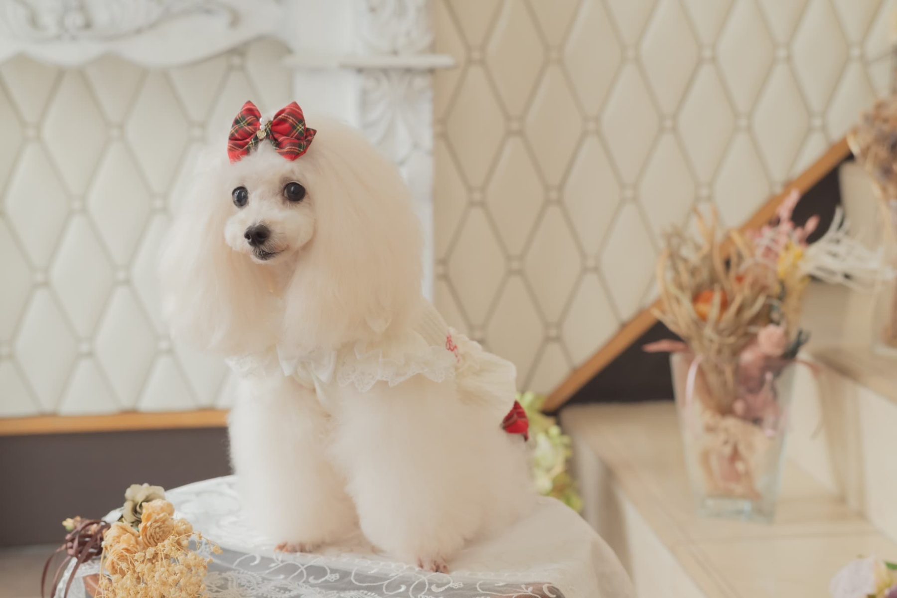 クラシカルタータンミニバレッタ