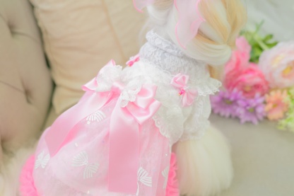 1178レース＆チュールキャミワンピース(リボンブローチ付き)