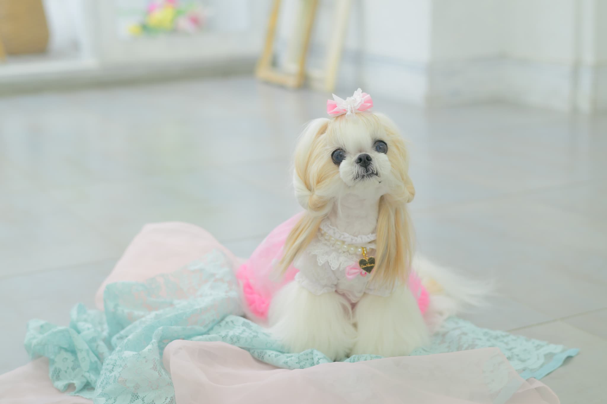 LB-329 きらきらバタフライバレッタリボン