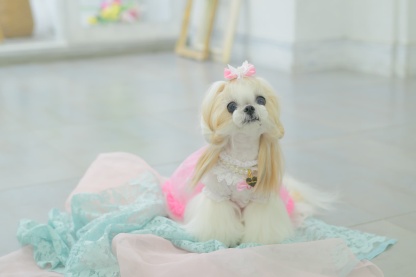 LB-329 きらきらバタフライバレッタリボン