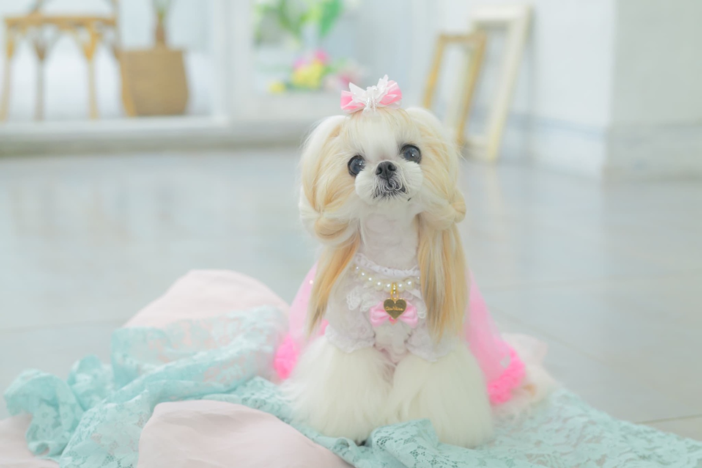 LB-329 きらきらバタフライバレッタリボン