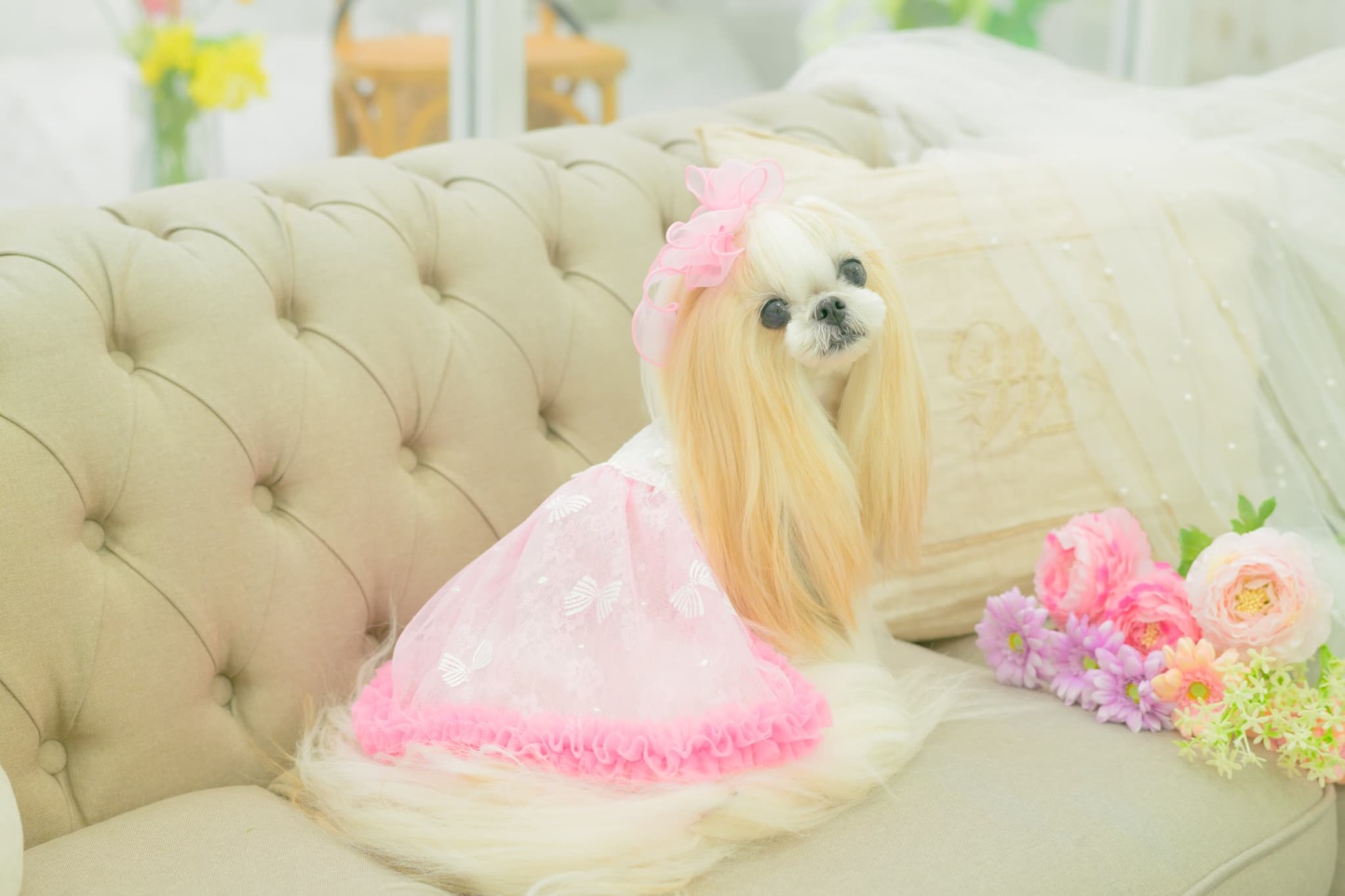 1178レース＆チュールキャミワンピース(リボンブローチ付き)