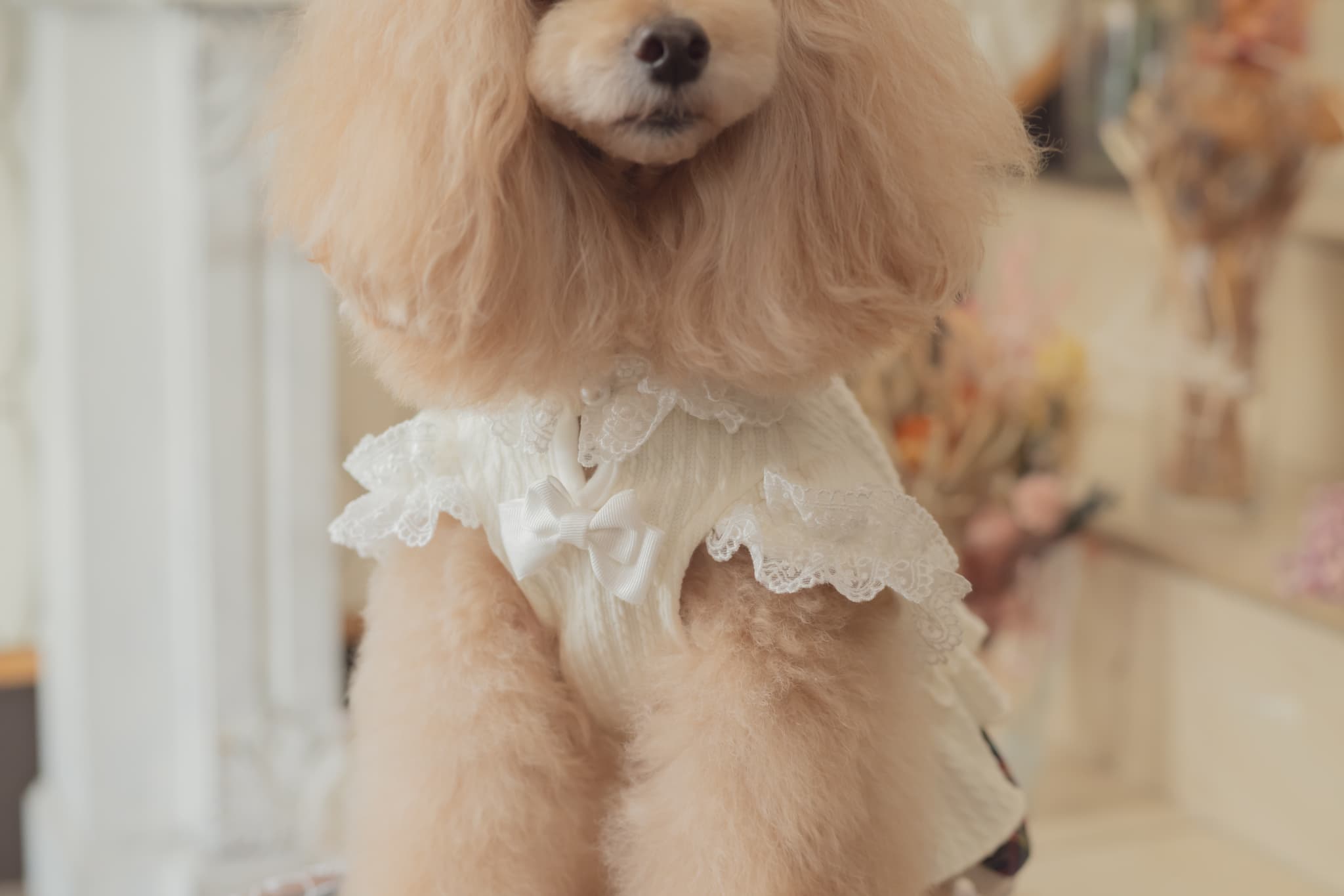 クラシカルチェックドッキングワンピース