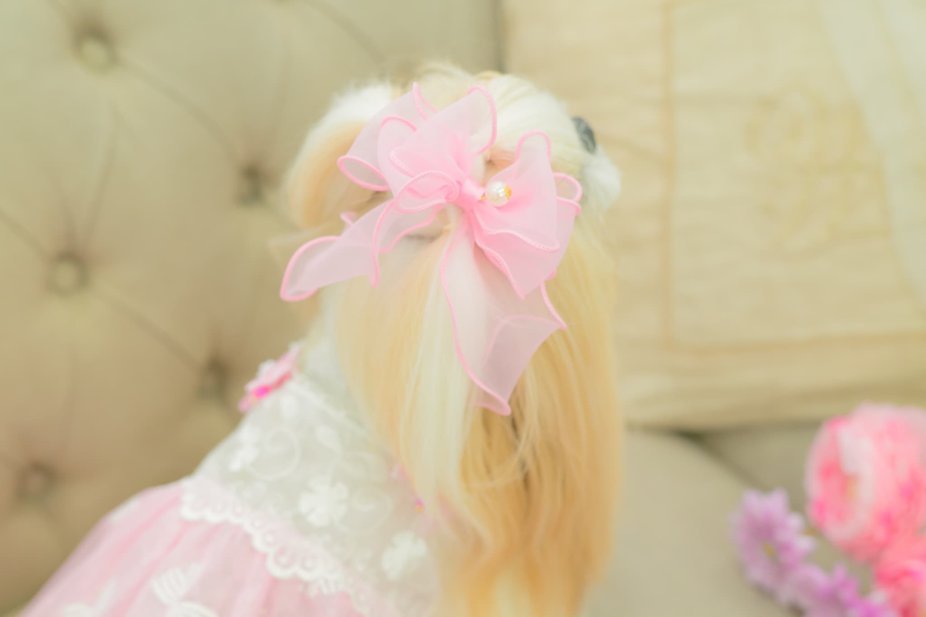 新色　LB-279オーガンジーフリルバレッタリボン