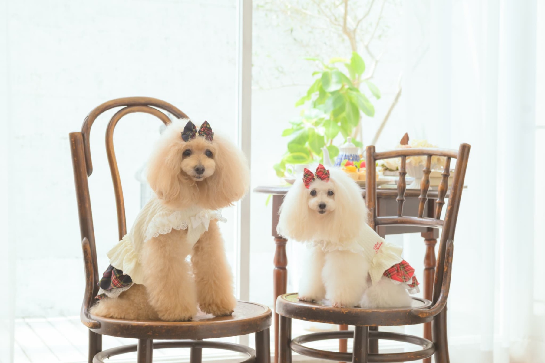 クラシカルチェックドッキングワンピース