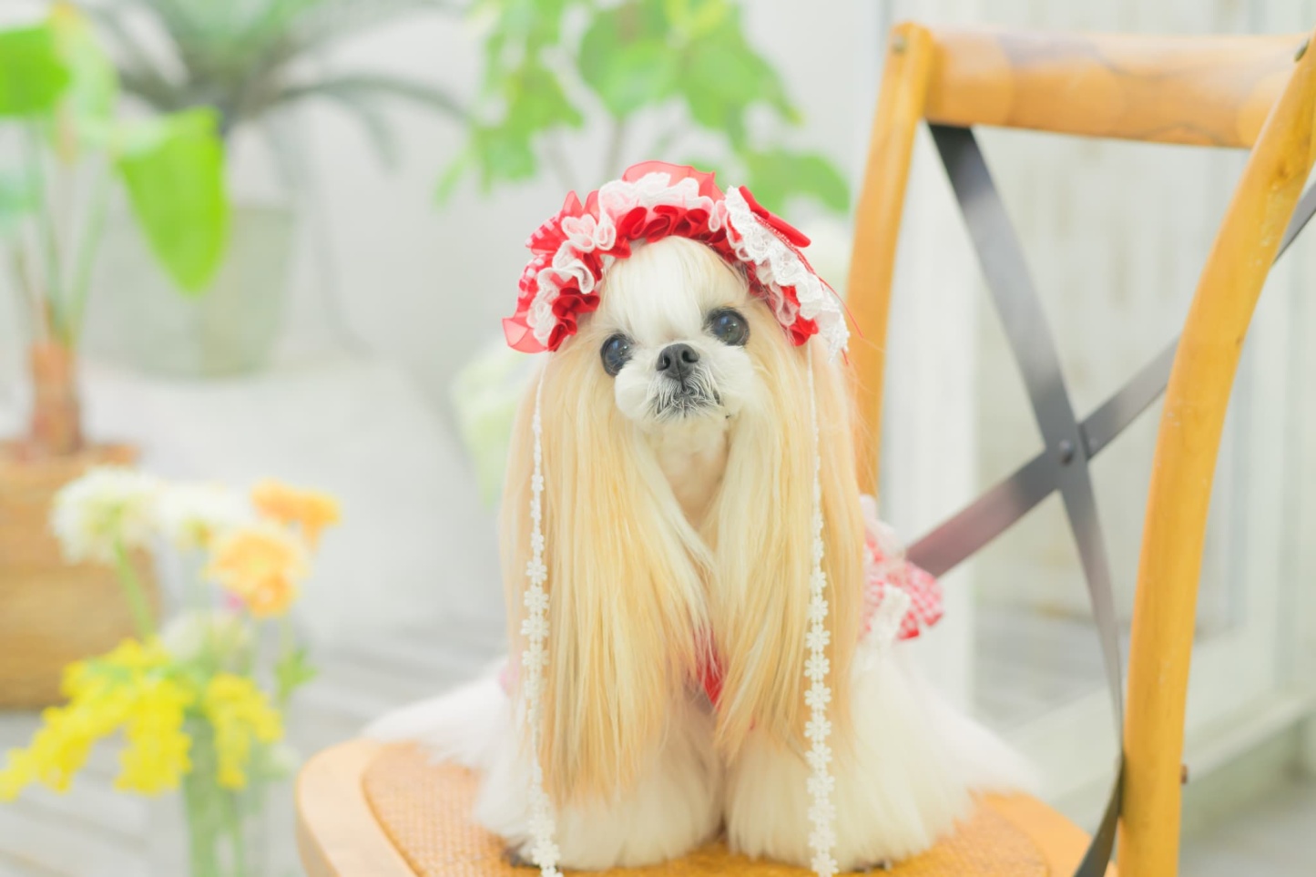 HD-034 ハートギンガムヘッドドレス