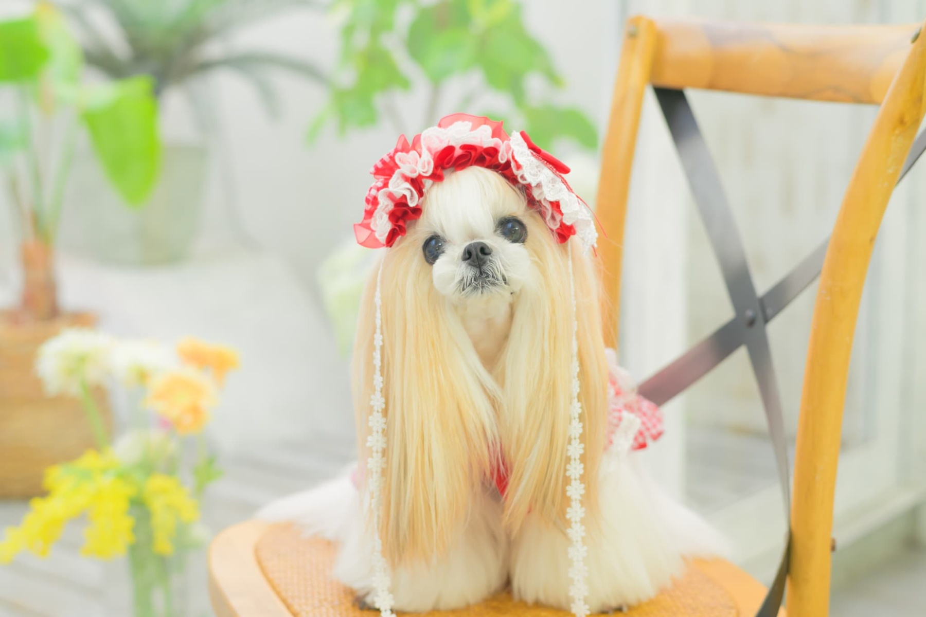 HD-034 ハートギンガムヘッドドレス