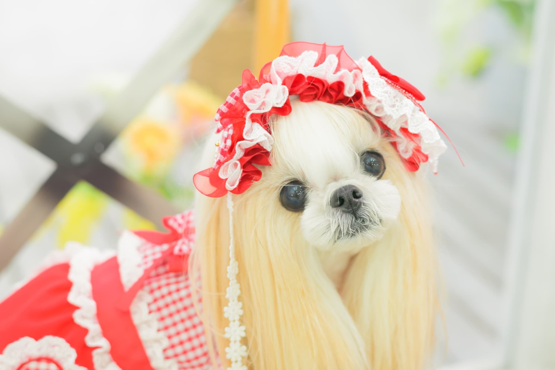 HD-034 ハートギンガムヘッドドレス