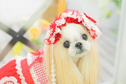 HD-034 ハートギンガムヘッドドレス