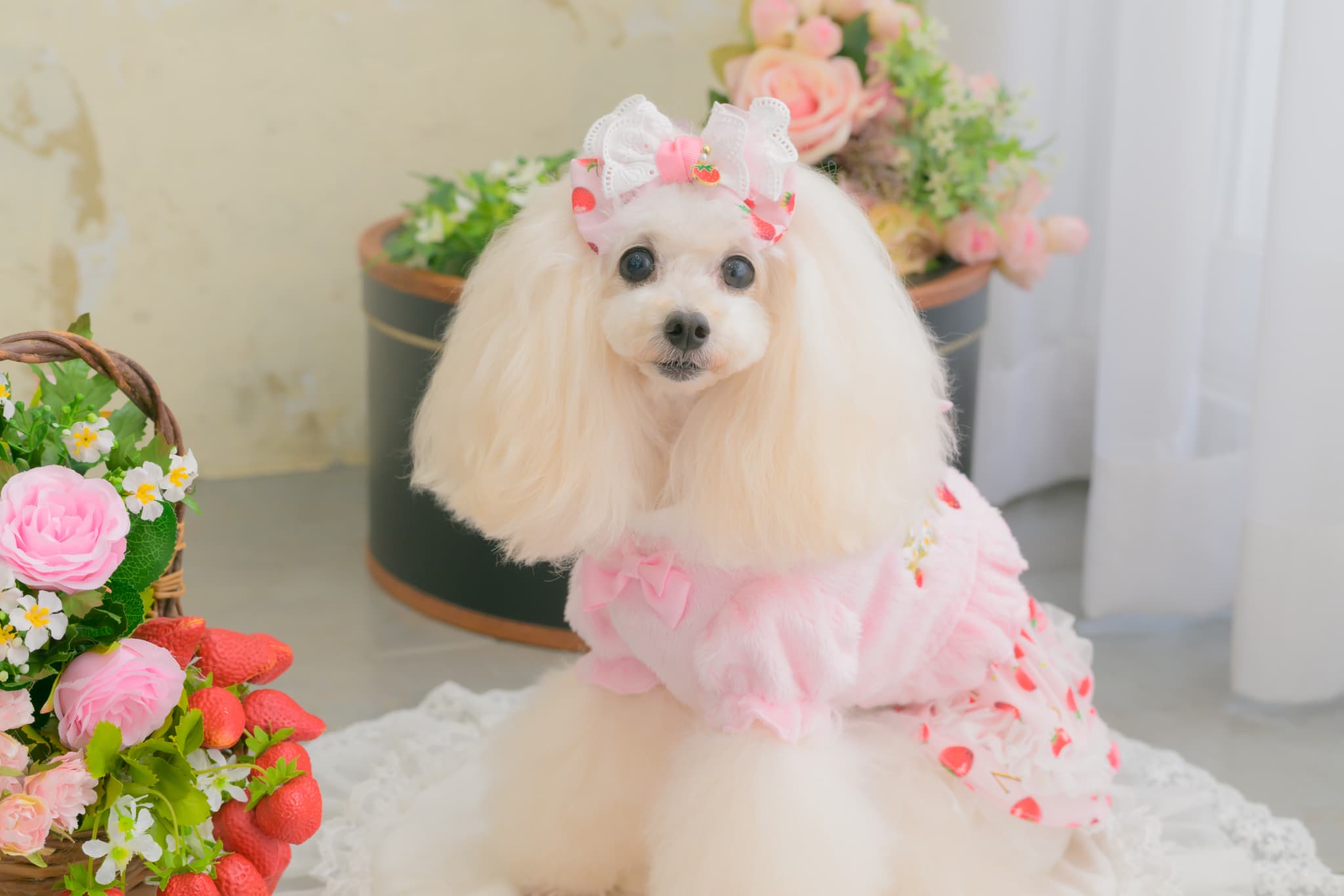 1176 いちご刺繍ハーフボレロ　