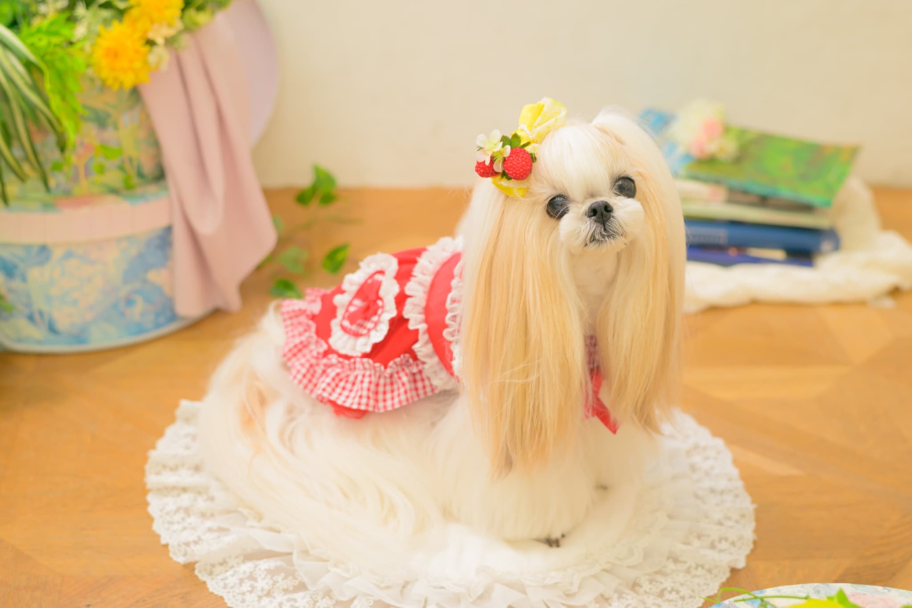 LB-330 フレッシュストロベリーバレッタリボン