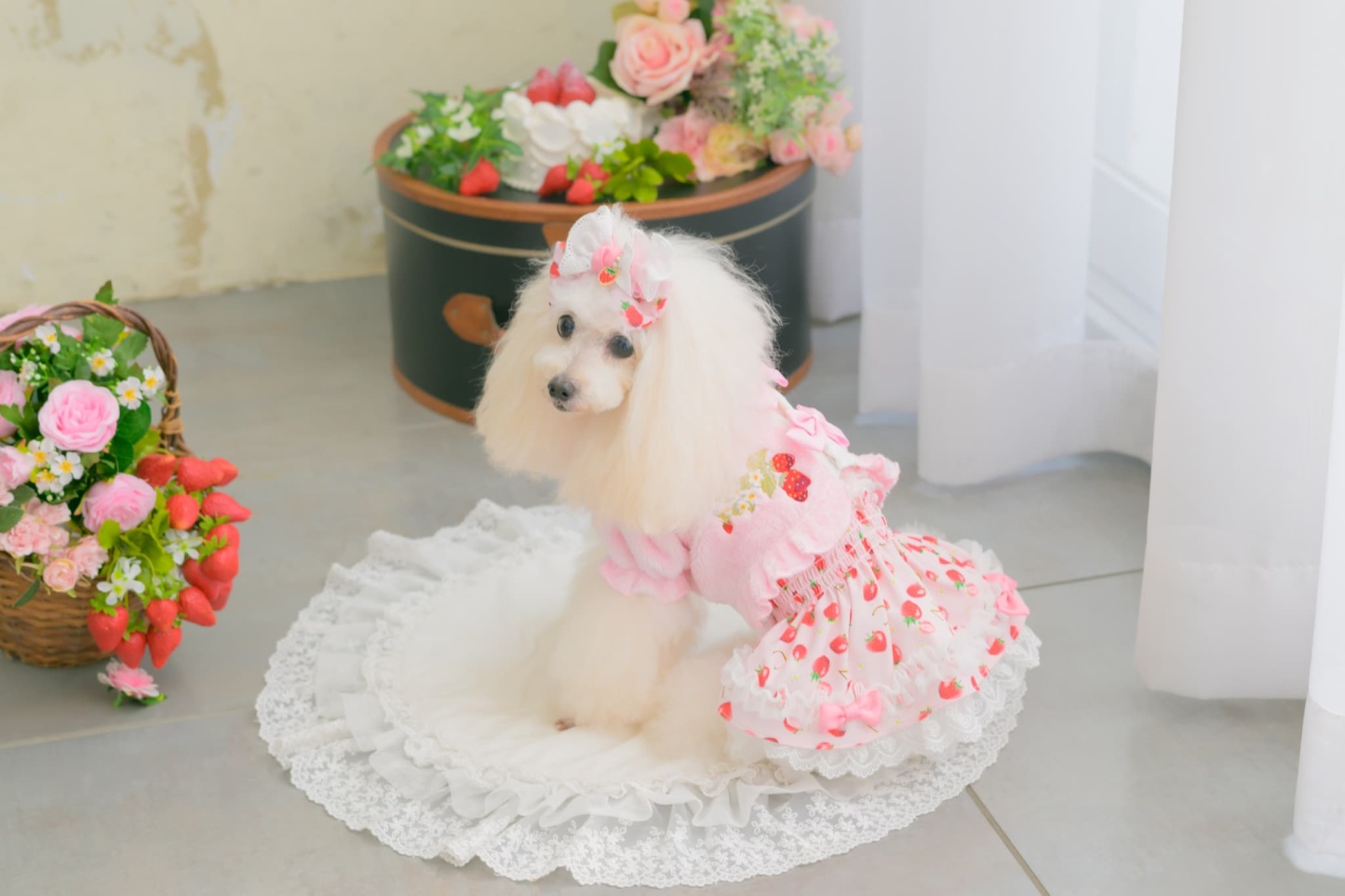 1176 いちご刺繍ハーフボレロ　