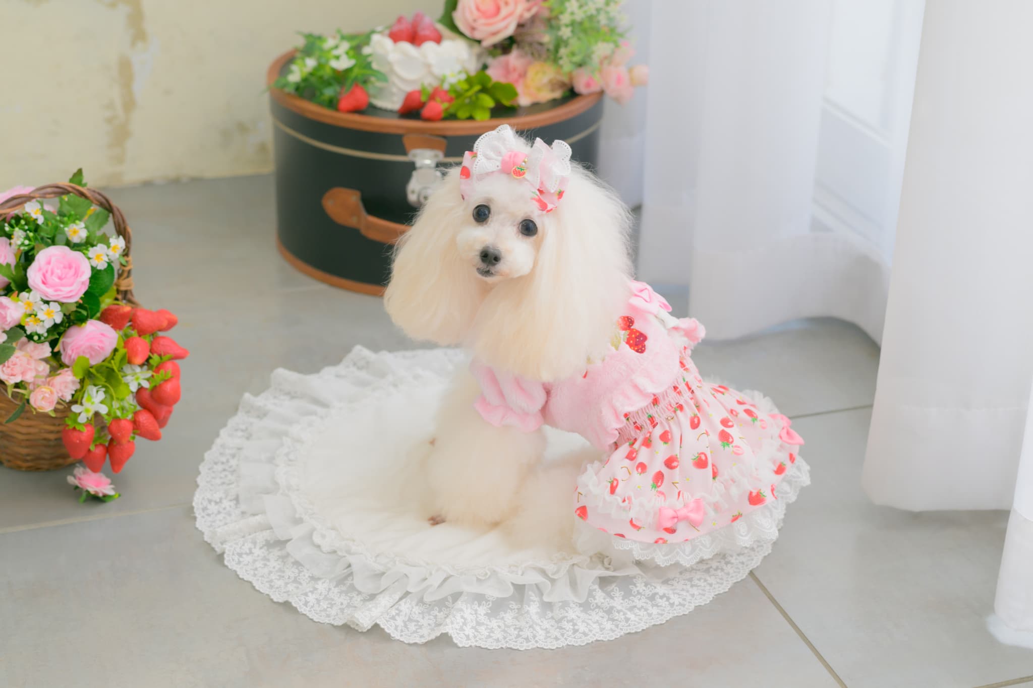 1176 いちご刺繍ハーフボレロ　