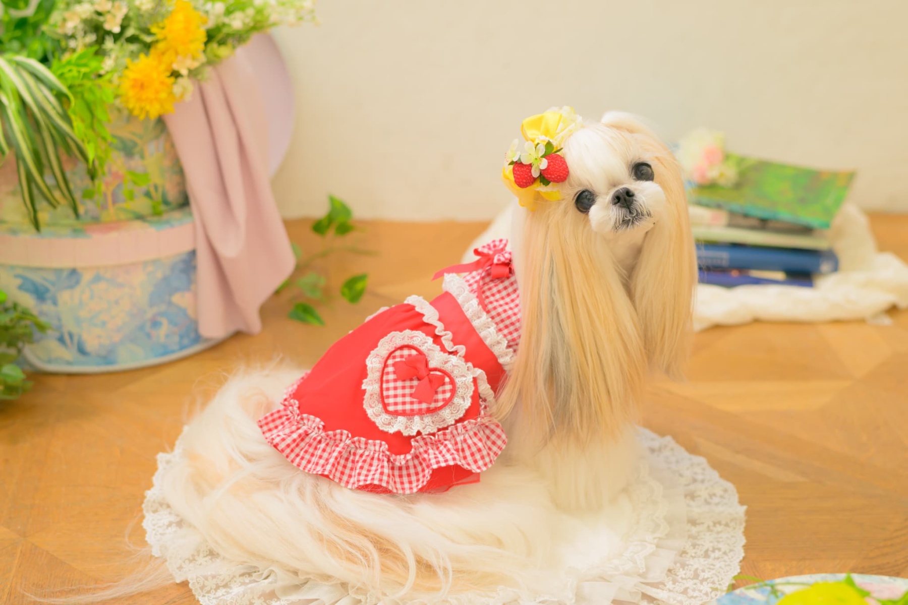 LB-330 フレッシュストロベリーバレッタリボン