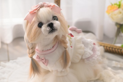 1176 いちご刺繍ハーフボレロ　