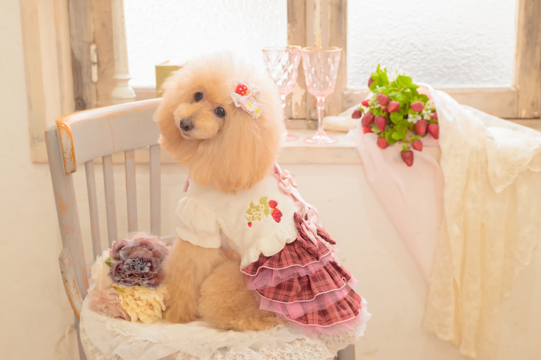 1176 いちご刺繍ハーフボレロ　