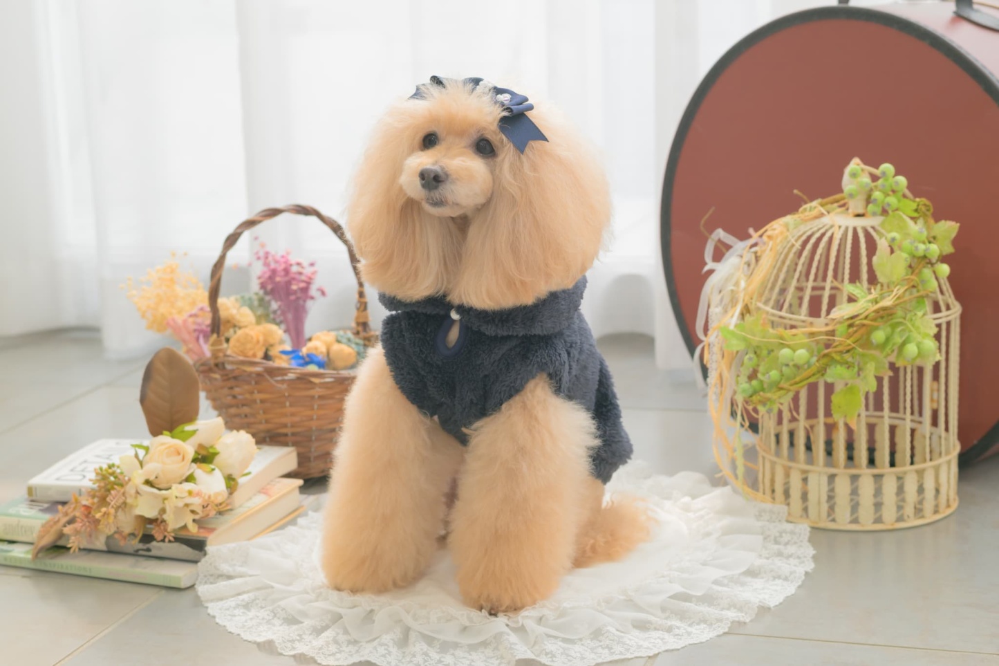 1172くまリボンボアジャケット