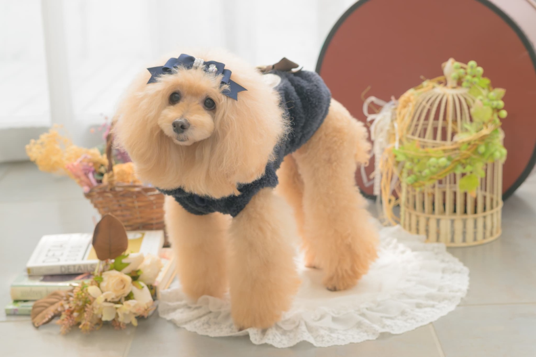 1172くまリボンボアジャケット