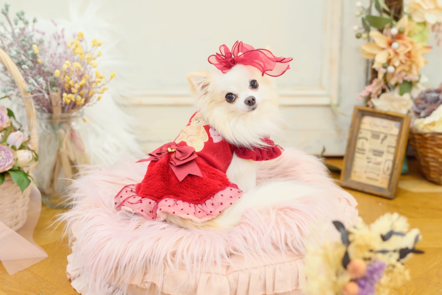 きゃんくまパフスリーブワンピース